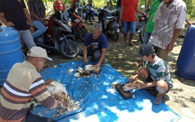 Pelatihan Pembuatan Mikro Organisme Lokal (MOL) Bonggol Pisang