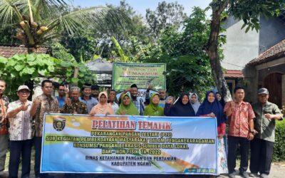 Pelatihan Pekarangan P2L di Kecamatan Widodaren