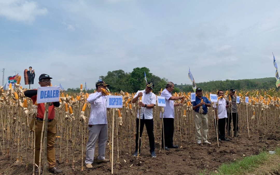 Pesta Panen Raya