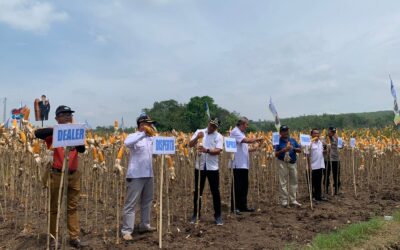 Pesta Panen Raya