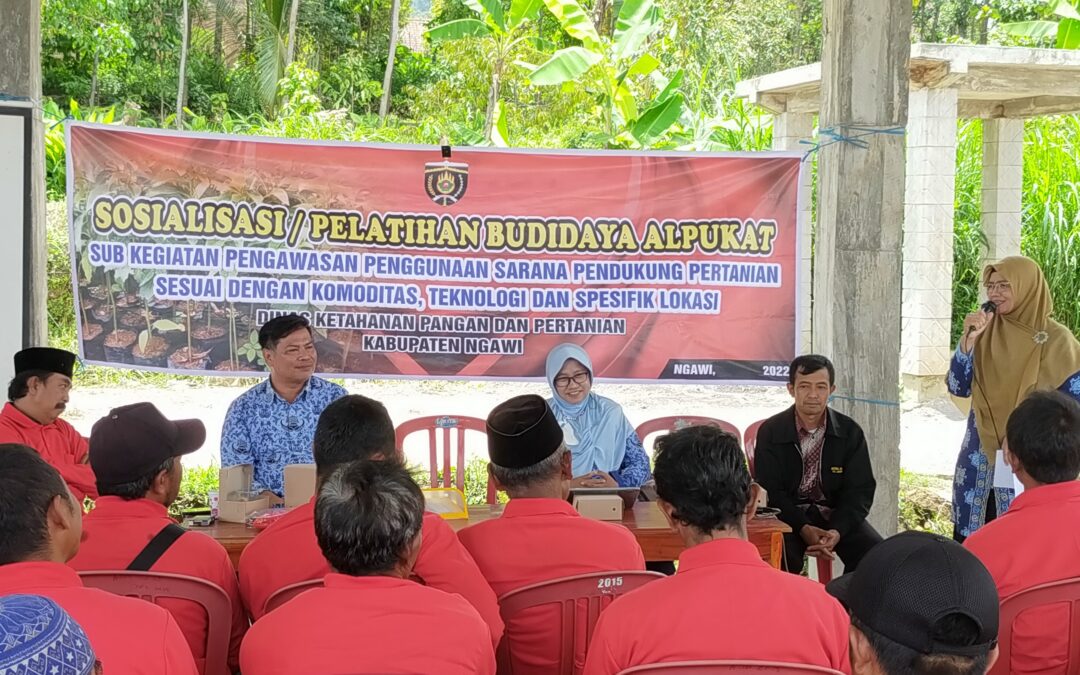 Sosialisasi / Pelatihan Budidaya Alpukat Kegiatan Kampung Alpukat di Jogorogo