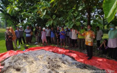 Pembuatan Pupuk Kandang Dari Kohe Kambing