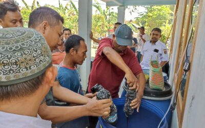 Integrasi Tanaman-Ternak dalam Pelaksanaan Integrated Farming System “Pendekatan On Farm”