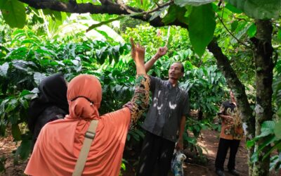 Sekolah Lapang Pengendalian Hama Terpadu (SLPHT) Motivasi untuk Para Petani