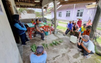 Perbanyakan Agens Pengendali Hayati (APH) Beauveria bassiana, Pembuatan Bubur California, dan Biosaka