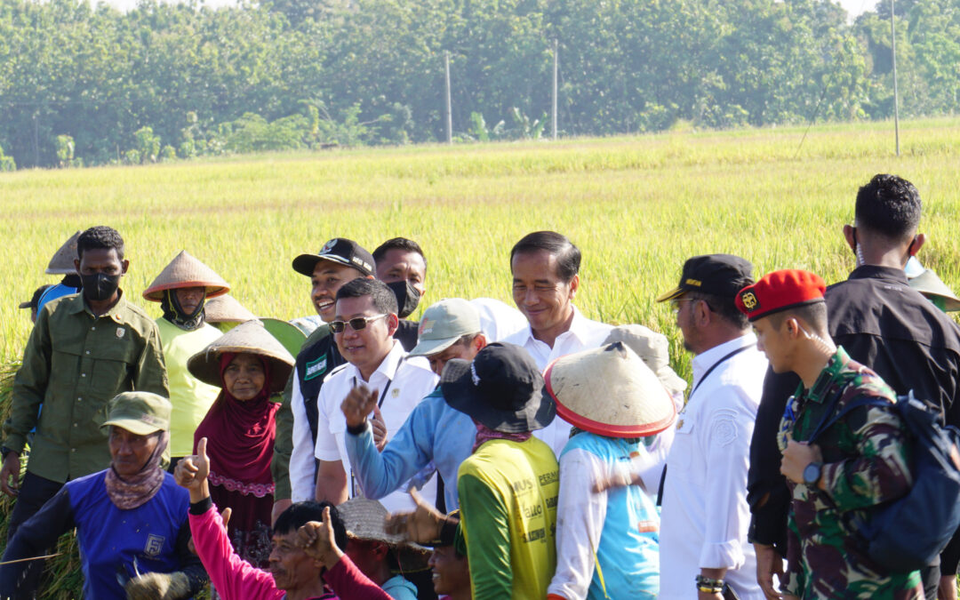 Kunjungan Presiden RI Dalam Rangka Panen Raya Nusantara 1 Juta Hektar