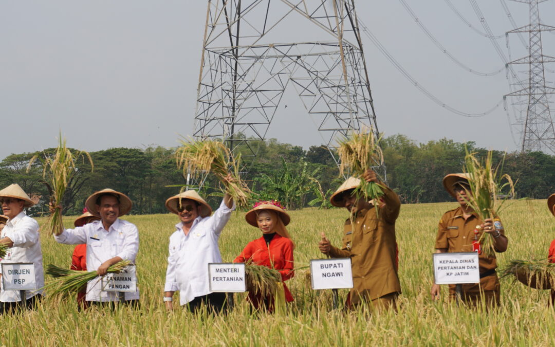 Antisipasi Menghadapi Dampak El Nino Oleh Menteri Pertanian Republik Indonesia