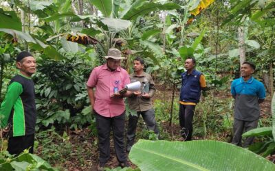 Lomba Kelompok Tani Berprestasi Kopi Dan Kakao Tahun 2023 Tingkat Provinsi Jawa Timur