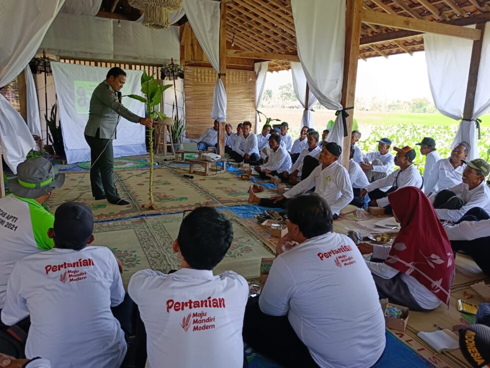 Pelatihan Budidaya Tembakau Angkatan Ii Dinas Ketahanan Pangan Dan