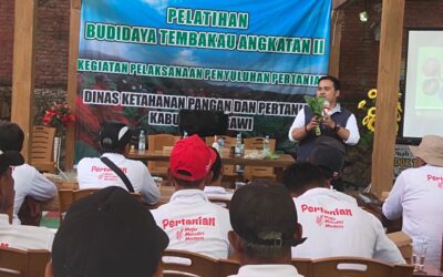 Pelatihan Budidaya Tembakau Angkatan II