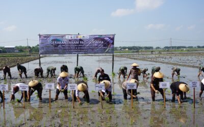 Gerakan Tanam Padi Bersama