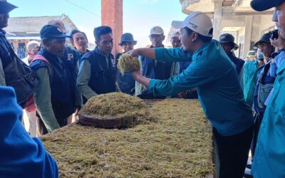 Kunjungan Lahan Budidaya Tembakau Kabupaten Boyolali