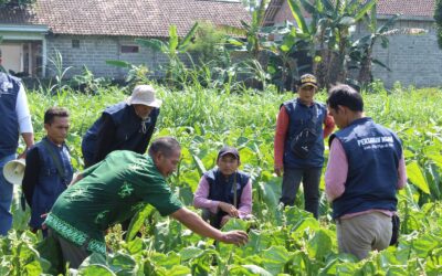 Kunjungan Lapang Budidaya Tembakau Kabupaten Blitar