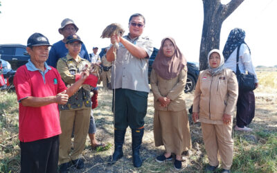 Kunjungan Kerja Direktur Perlindungan Tanaman Pangan