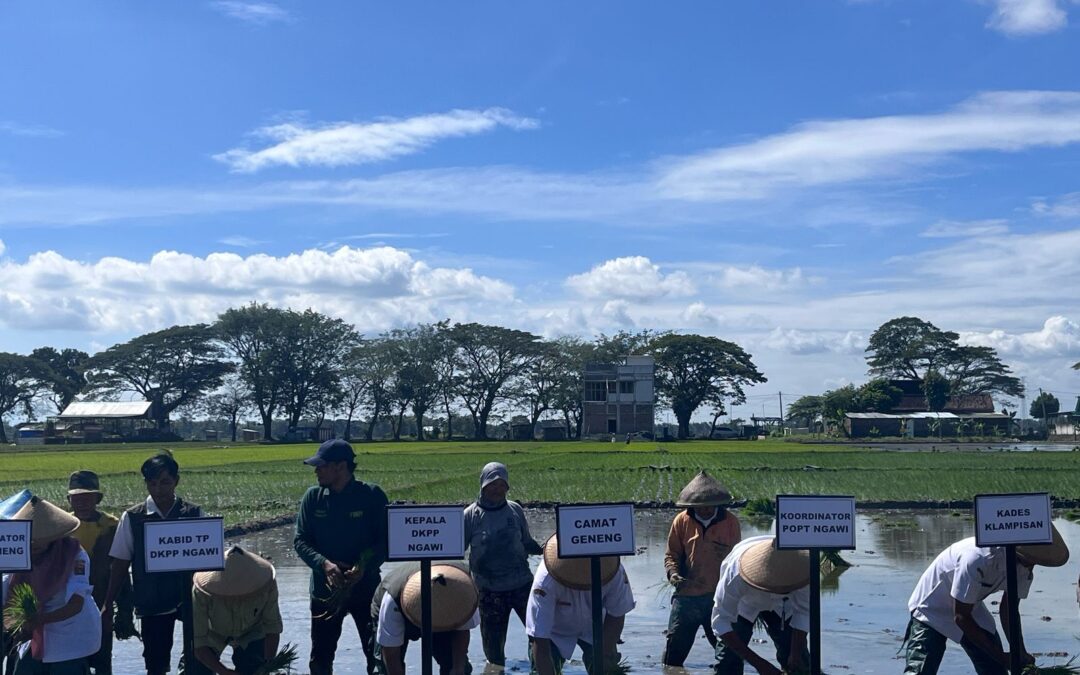Kabupaten Ngawi Ikuti Gerakan Tanam Padi Serentak Bersama Presiden RI