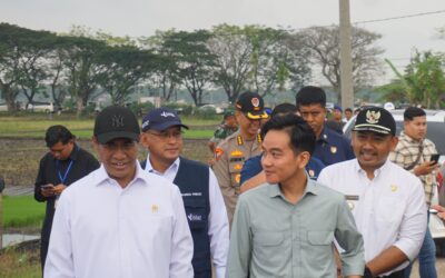 Kunjungan Wapres dan Mentan : Dorong Percepatan Tanam Padi dan Penguatan Ketahanan Pangan Nasional