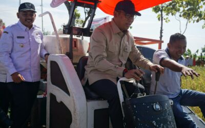 Wakil Menteri Pertanian Tinjau Percepatan Panen di Ngawi, Dorong Peningkatan IP dan Mutu Produksi